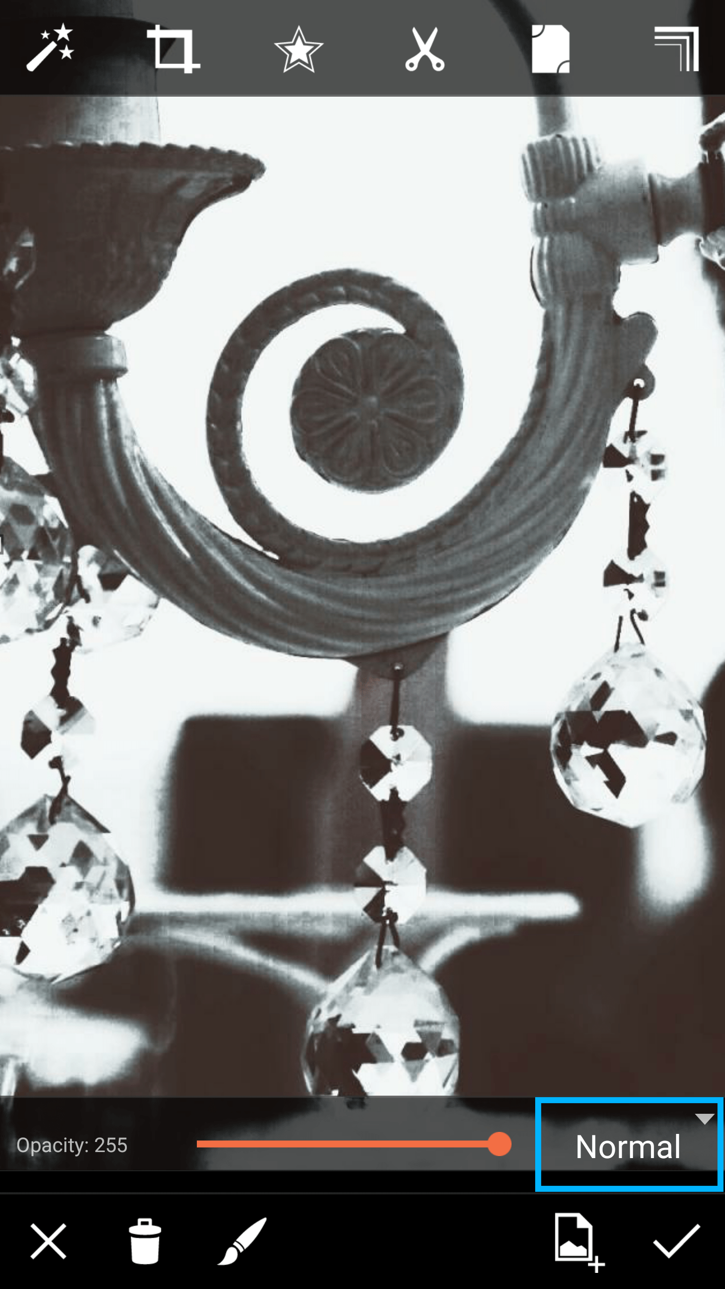 Creative Combinations How to Use the Add Photo Feature to Overlay