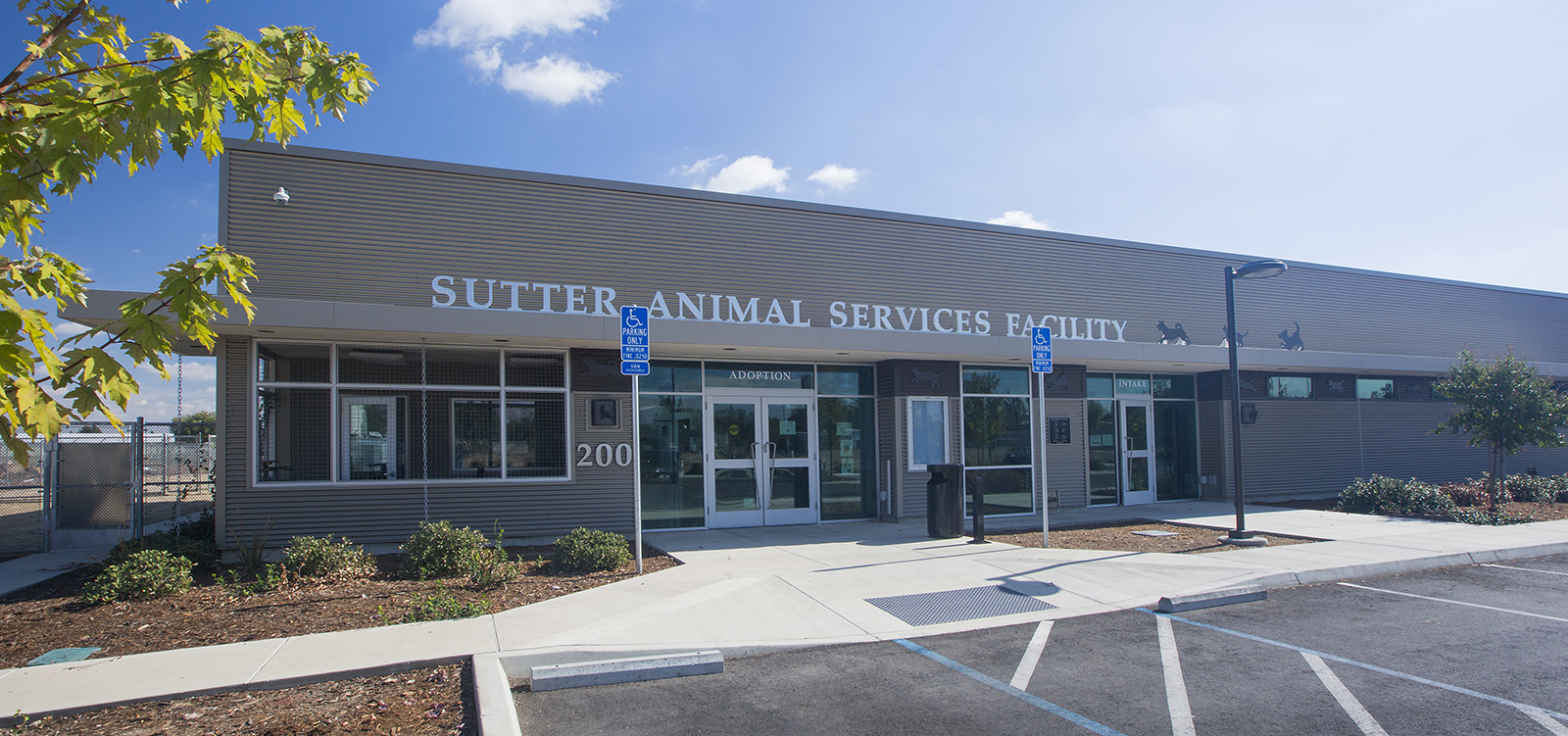 Top 164 + City animal shelter