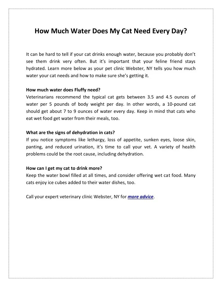 PPT How Much Water Does My Cat Need Every Day? PowerPoint
