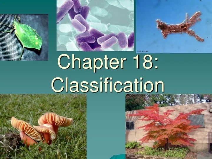 PPT - Decoding Life: Understanding Classification and Taxonomy
