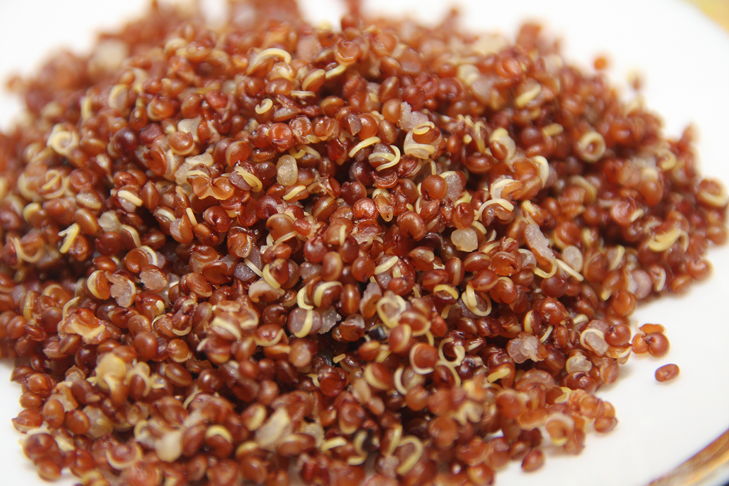 Lentils vs. Buckwheat vs. Quinoa vs. Brown Rice vs. Chickpeas