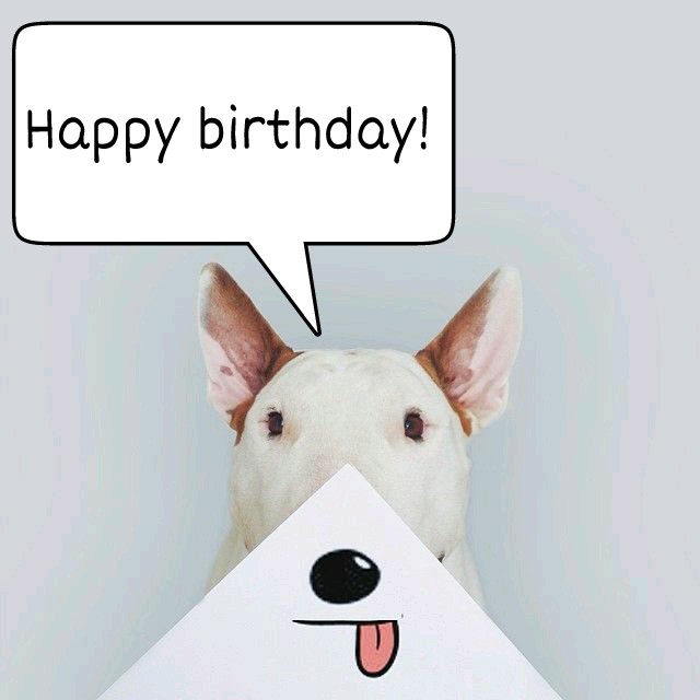 77+ Happy Birthday Bull Terrier Images l2sanpiero