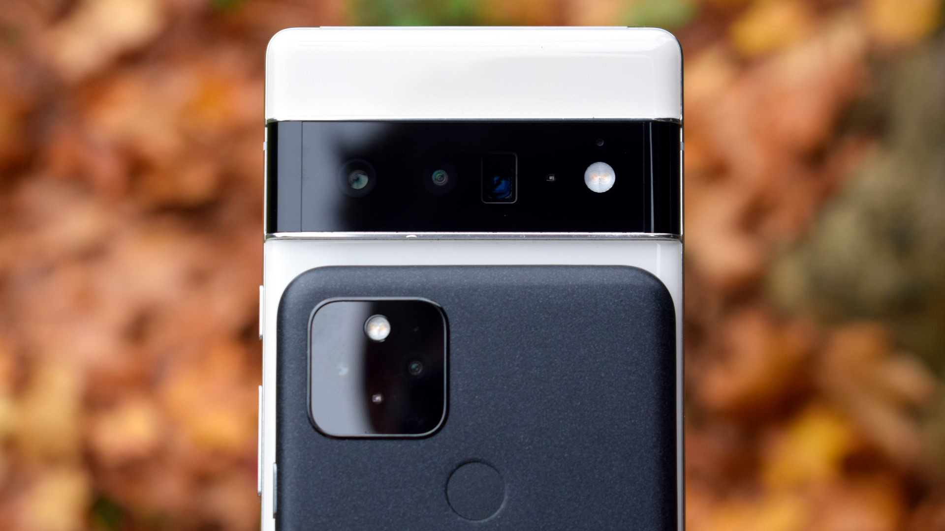 Is the Google Pixel 6 Pro camera actually better than the Pixel 5