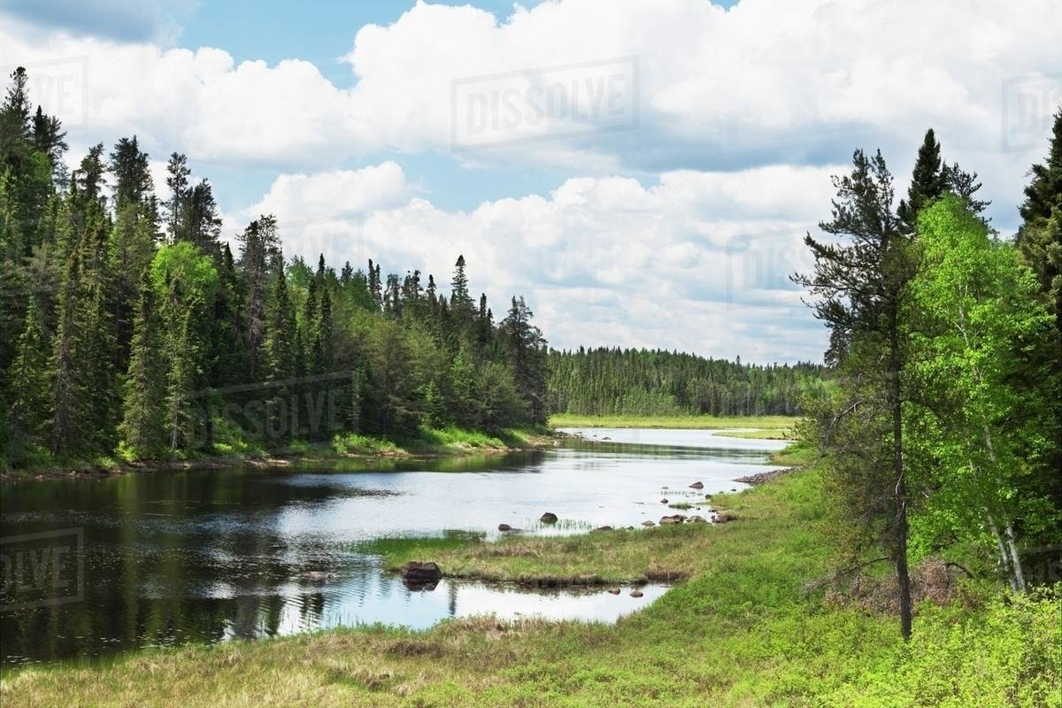 A Pond Surrounded By Forest; Thunder Bay, Ontario, Canada Stock Photo