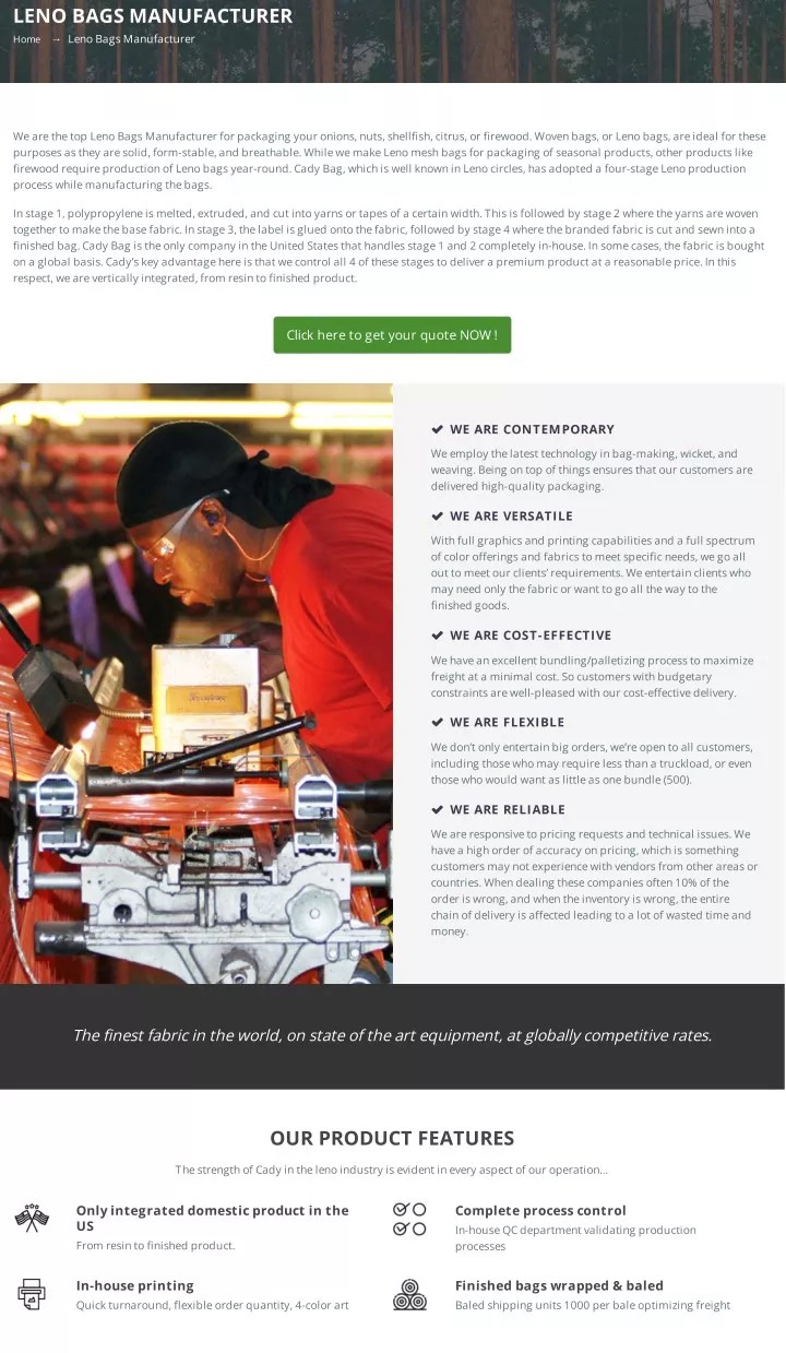 PPT Leno Mesh Bags Cady Bag Company PowerPoint Presentation, free download ID11734891