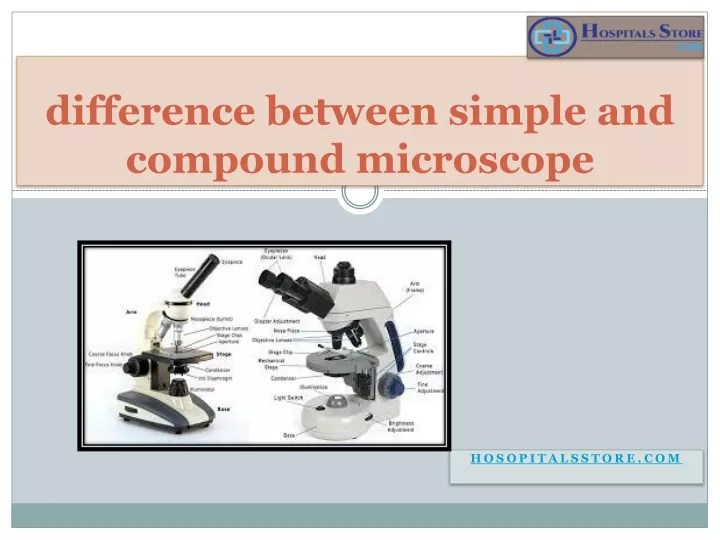 PPT difference between simple and compound microscope PowerPoint