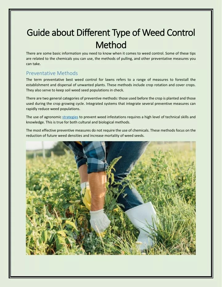 PPT Guide about Different Type of Weed Control Method PowerPoint