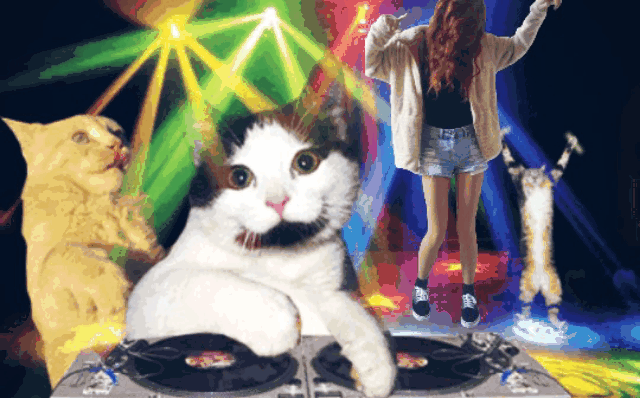 selfportrait dj redhead gifs lights drugs disco kitti...
