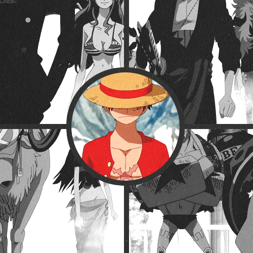 mugiwaras onepiece gif GIF by Mariana Luviano