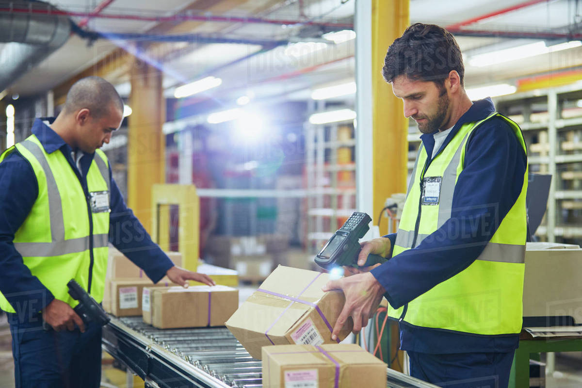 Workers scanning and processing boxes on conveyor belt in distribution