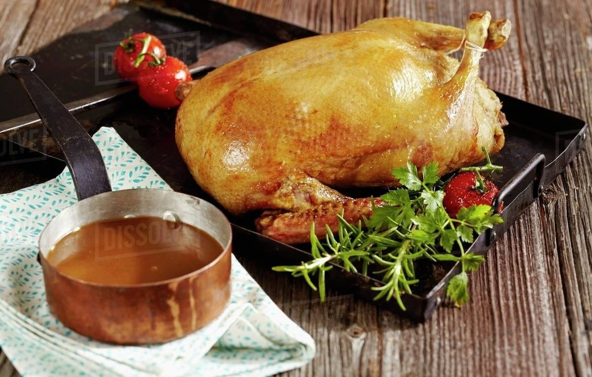 Roast duck with gravy Stock Photo Dissolve