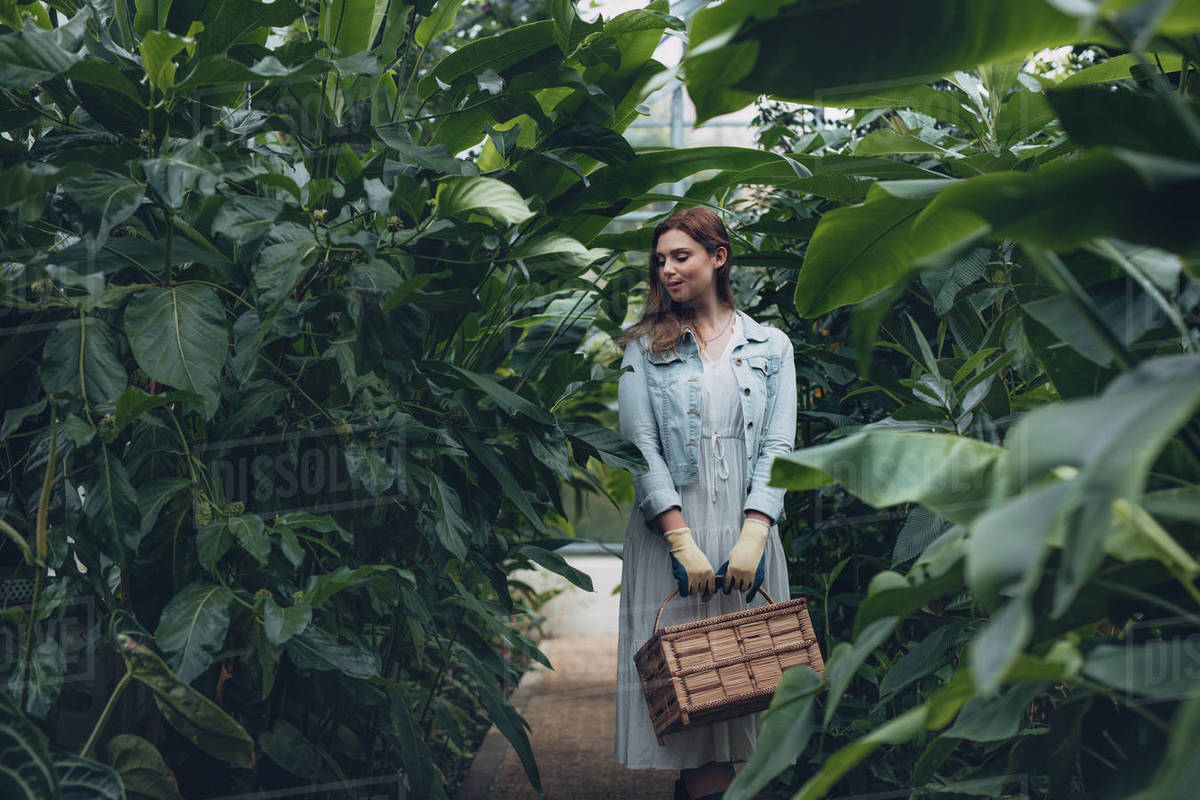 Young woman with a basket walking through plants in the greenhouse
