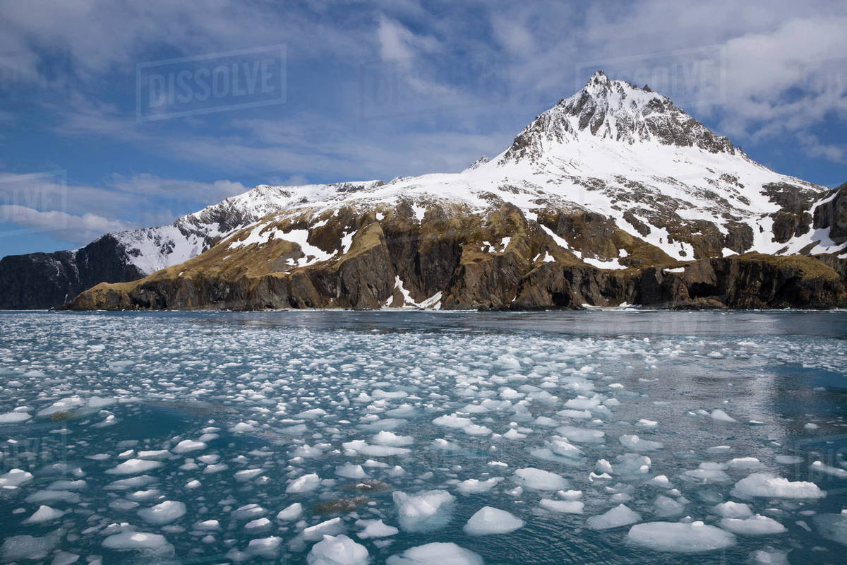 Ice floats in the sea, Iris Bay, South Island, South Sandwich