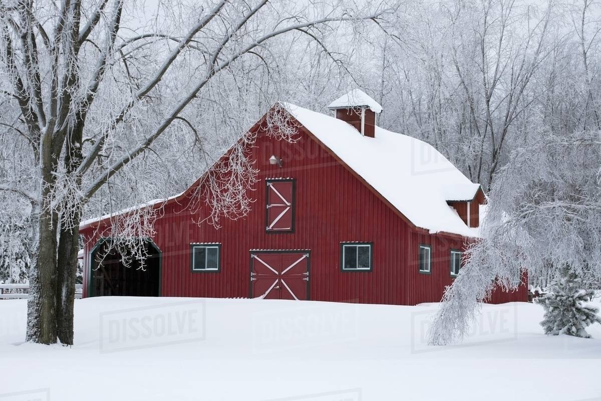 A Red Barn Covered With Snow In Winter; Iron Hill, Quebec, Canada