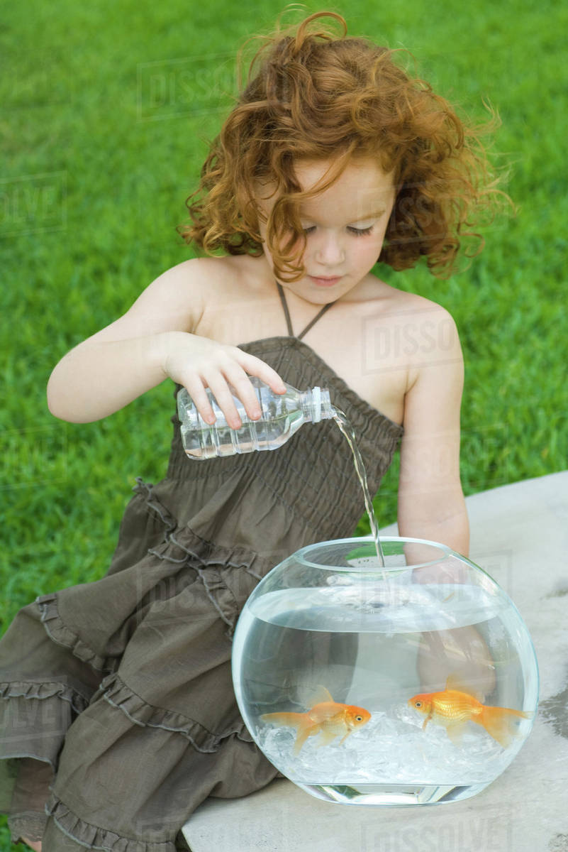 Redheaded little girl pouring bottled water into goldfish bowl Stock