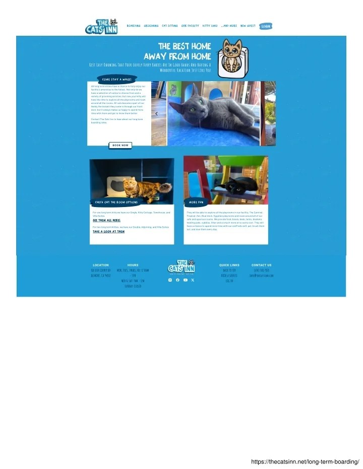 PPT longtermcatboarding PowerPoint Presentation, free download