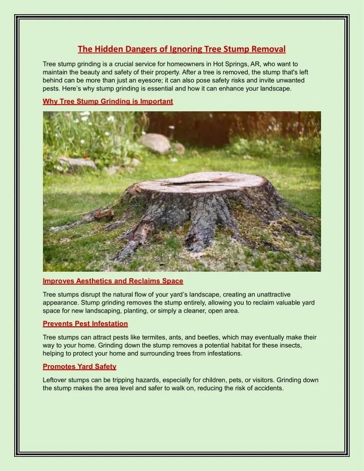 PPT The Hidden Dangers of Ignoring Tree Stump Removal PowerPoint(03)