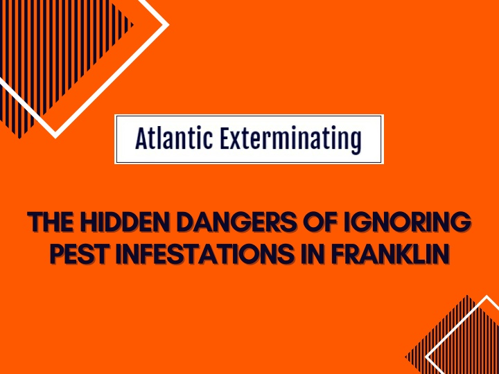PPT The Hidden Dangers of Ignoring Pest Infestations in Franklin