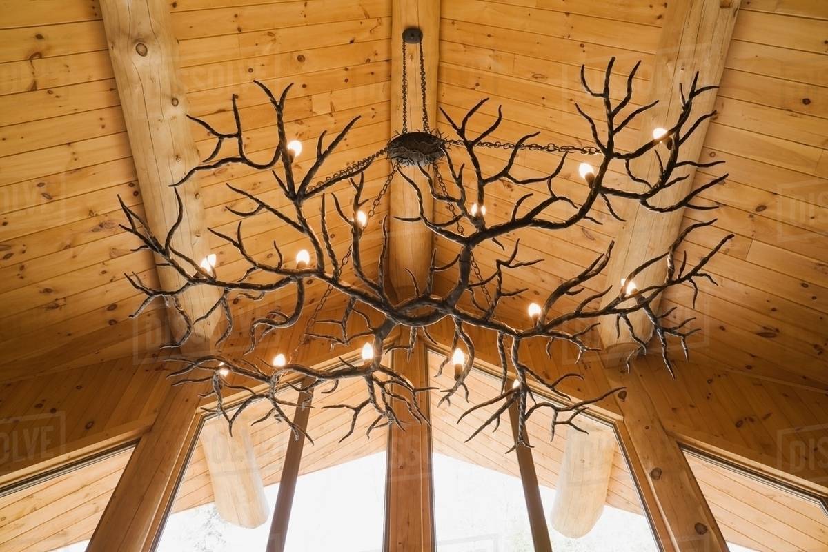 Antler chandelier hanging from Eastern white pine vaulted ceiling in