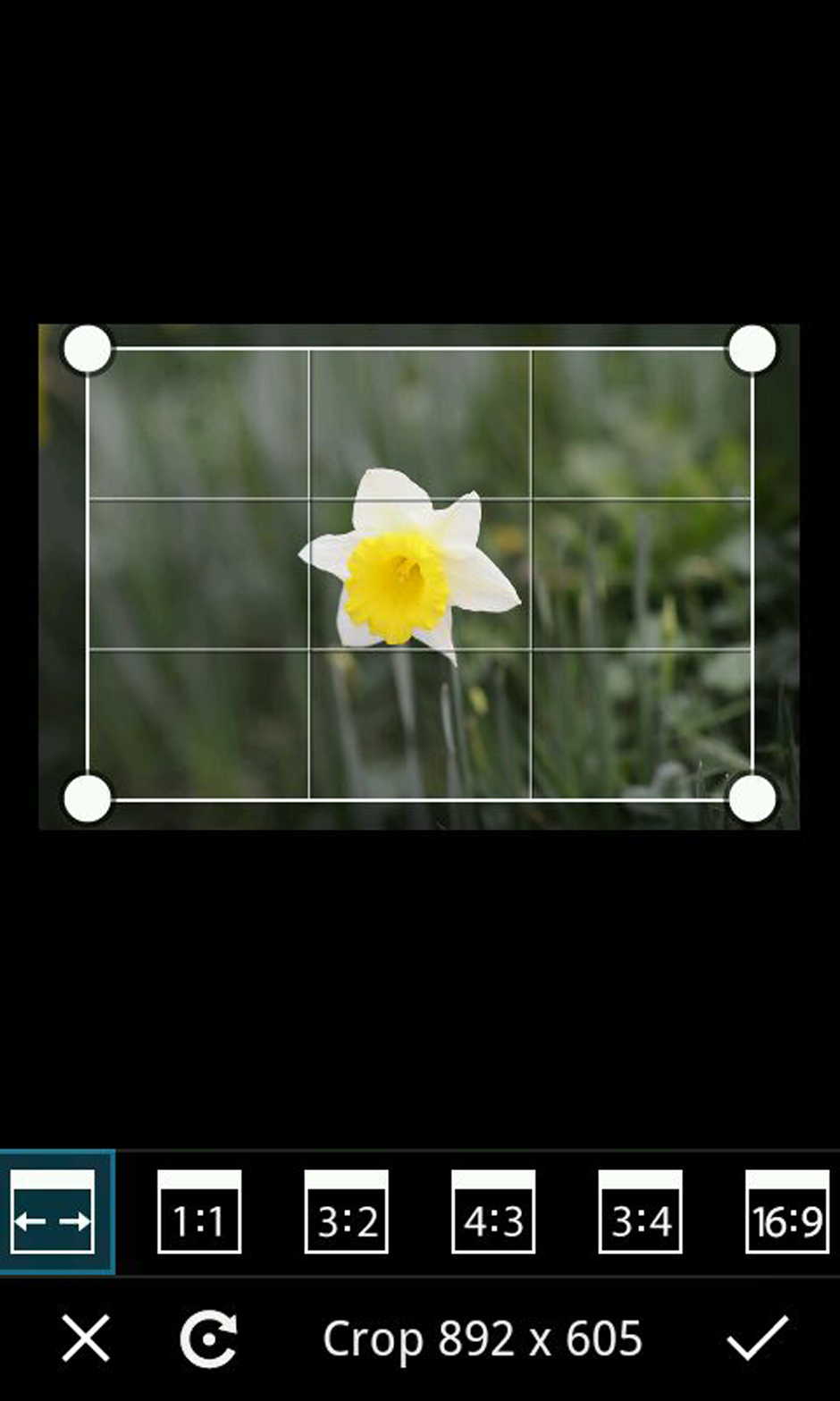 3 Easy Ways to Frame Photos with PicsArt Picsart Blog