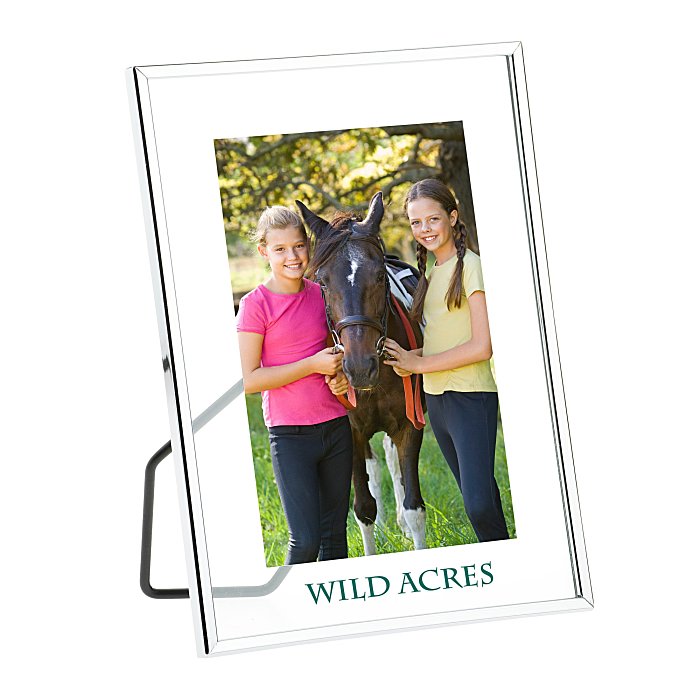 Silver Floating Frame 4" x 6" 14862246