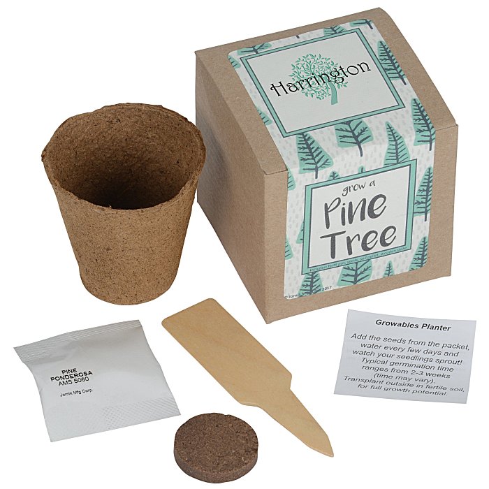 Growable Planter Gift Kit Pine Tree 24 hr 144688PT24HR
