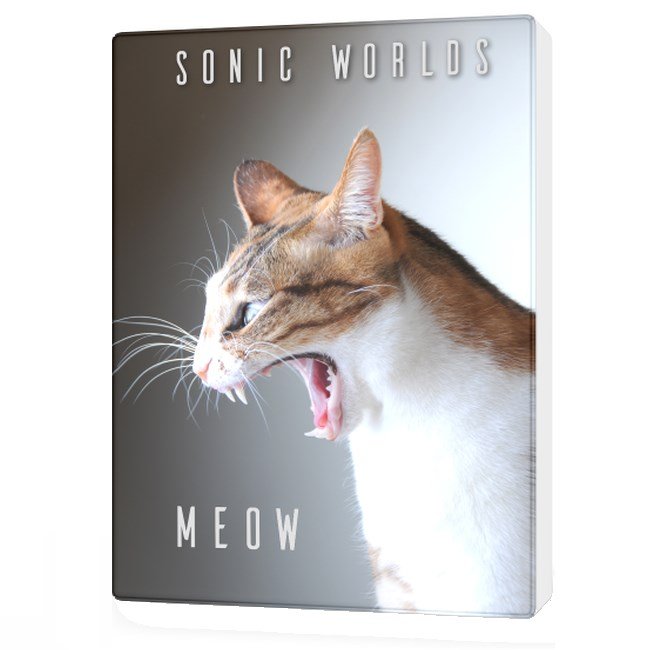 Meow Sound Download Free