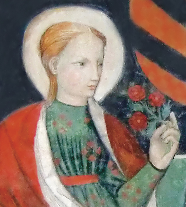 Santa Rosa de Viterbo Misericórdia e intransigência oriundas de um