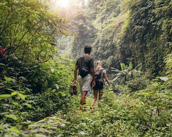 Mengenal Shinrin-yoku, Terapi Hutan dari Jepang yang Bantu Redakan Stres, Bisakah Diterapkan di Indonesia?