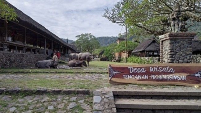 Melihat Desa Tenganan Bali Aga Masih Pertahankan Tradisi Kuno, Warga Dilarang Menikah dengan Orang Luar