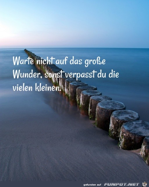Wunder