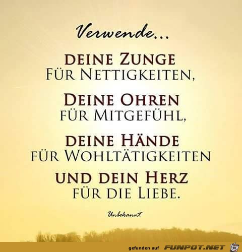 10 Schone Spruche Und Lebensweisheiten Aus