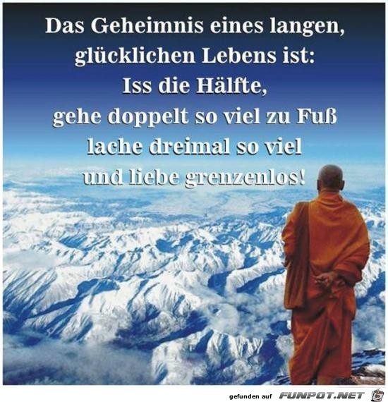 10 Schone Spruche Und Lebensweisheiten Aus