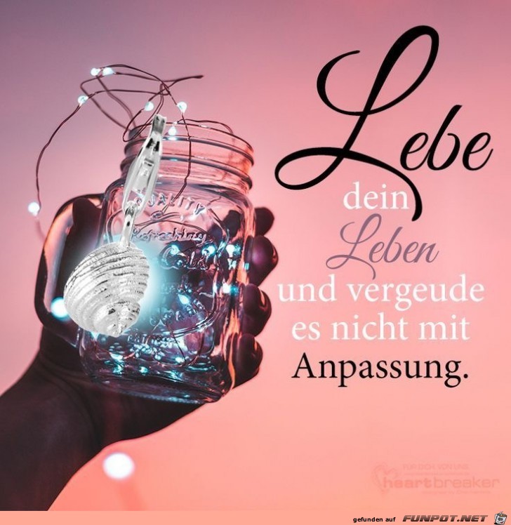 Lebe Dein Leben