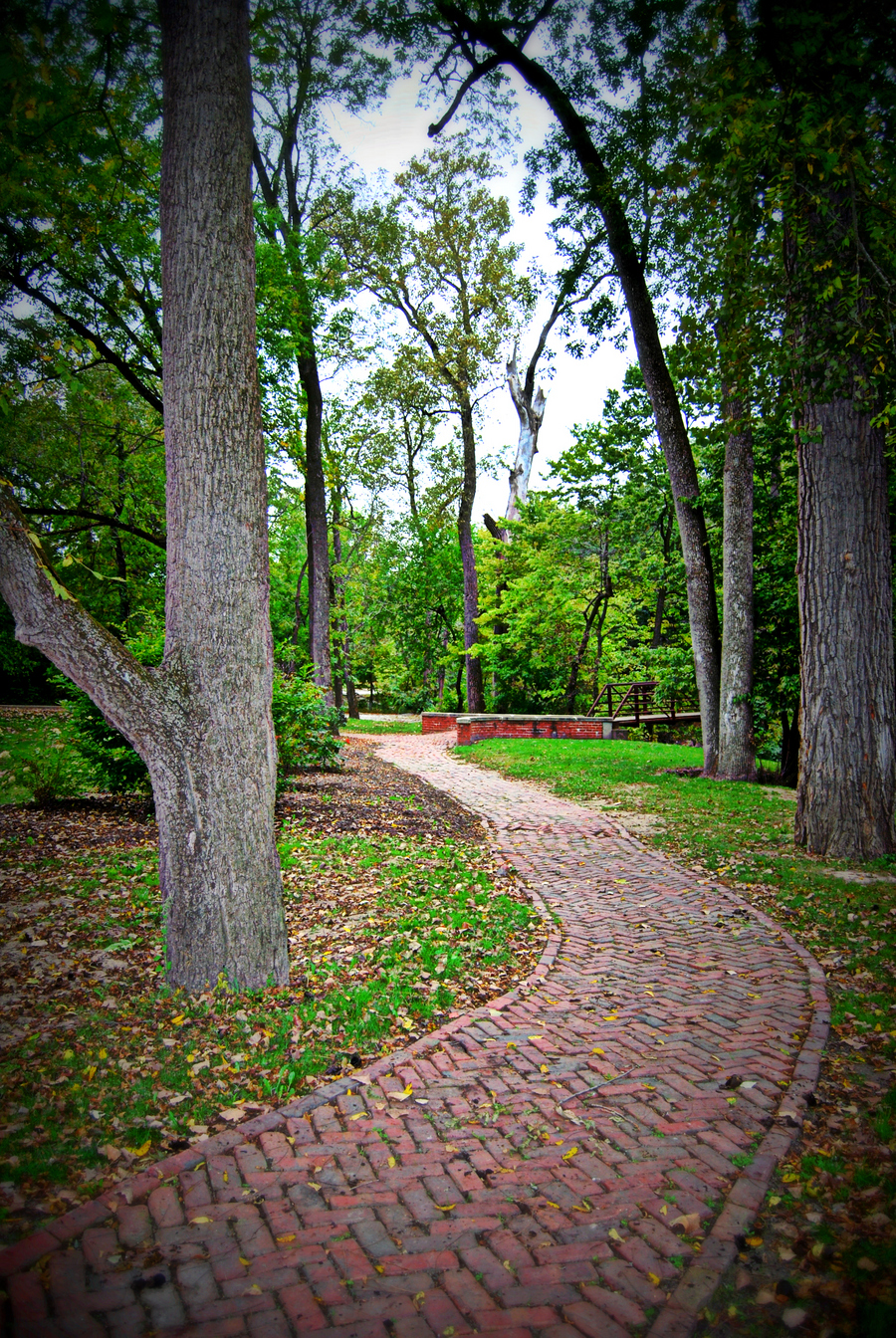 Winding Pathway HDR creme