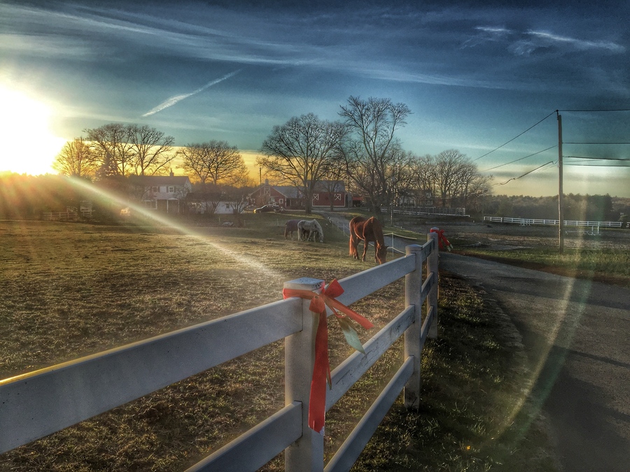North Randolph Ma hdrcreme