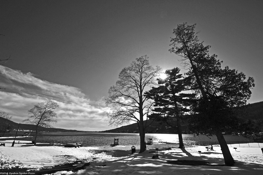 Greenwood Lake Winter by CynthiaSorokaDunn