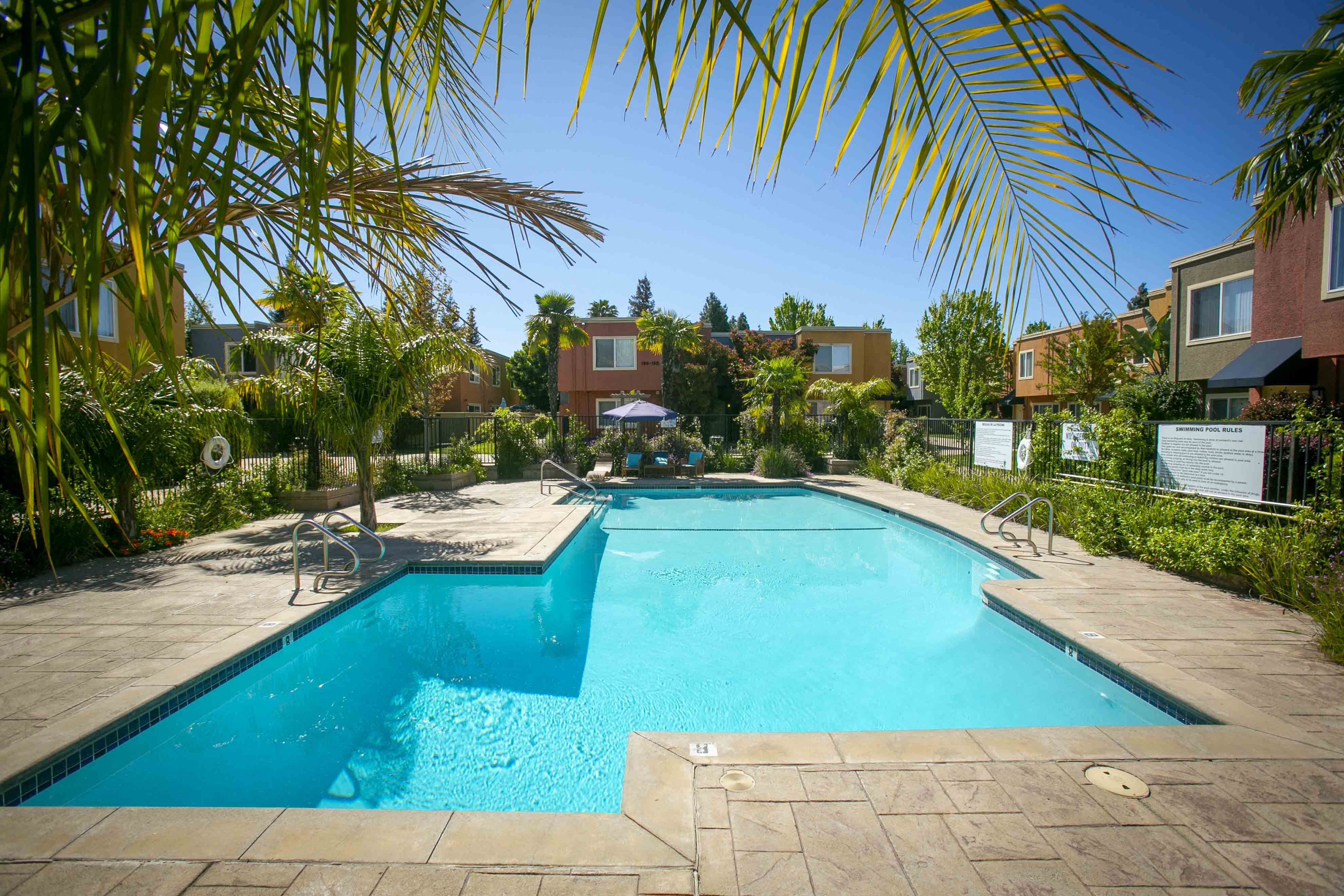 Palm Terrace Concord Apartments in Concord, CA