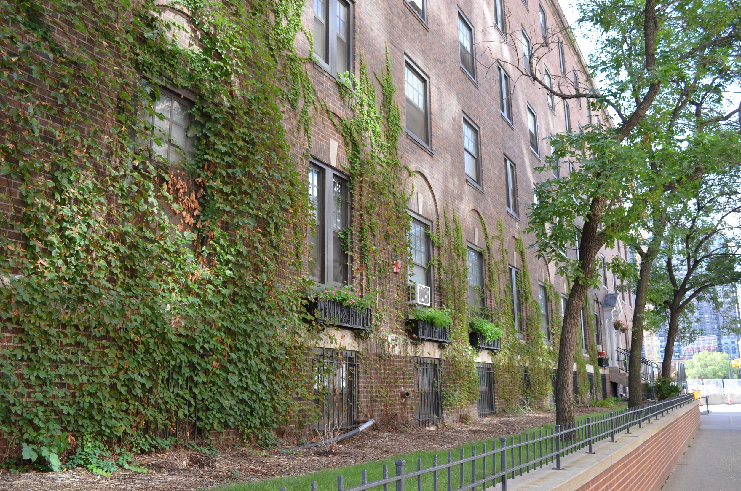 Paige Hall Apartments, 727 South 5th Avenue, Minneapolis, MN RentCafe