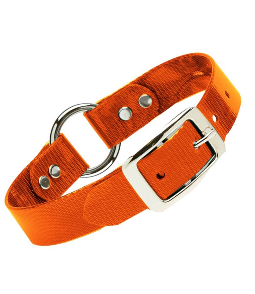 Waterproof Dog Collar