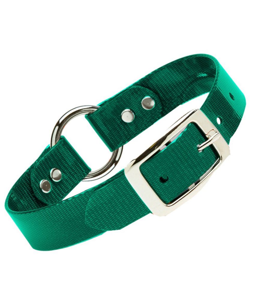 Waterproof Dog Collar Collars, Leads & Leashes at L.L.Bean