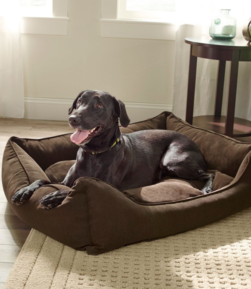 Comfort Couch Pet Bed Set