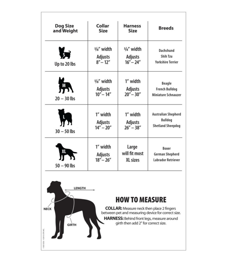 Personalized Pet Collar Collars, Leads & Leashes at L.L.Bean