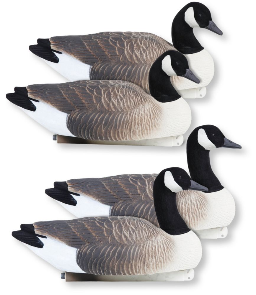 Tanglefree Pro Series Canada Geese Floating Decoys, 4 Pack