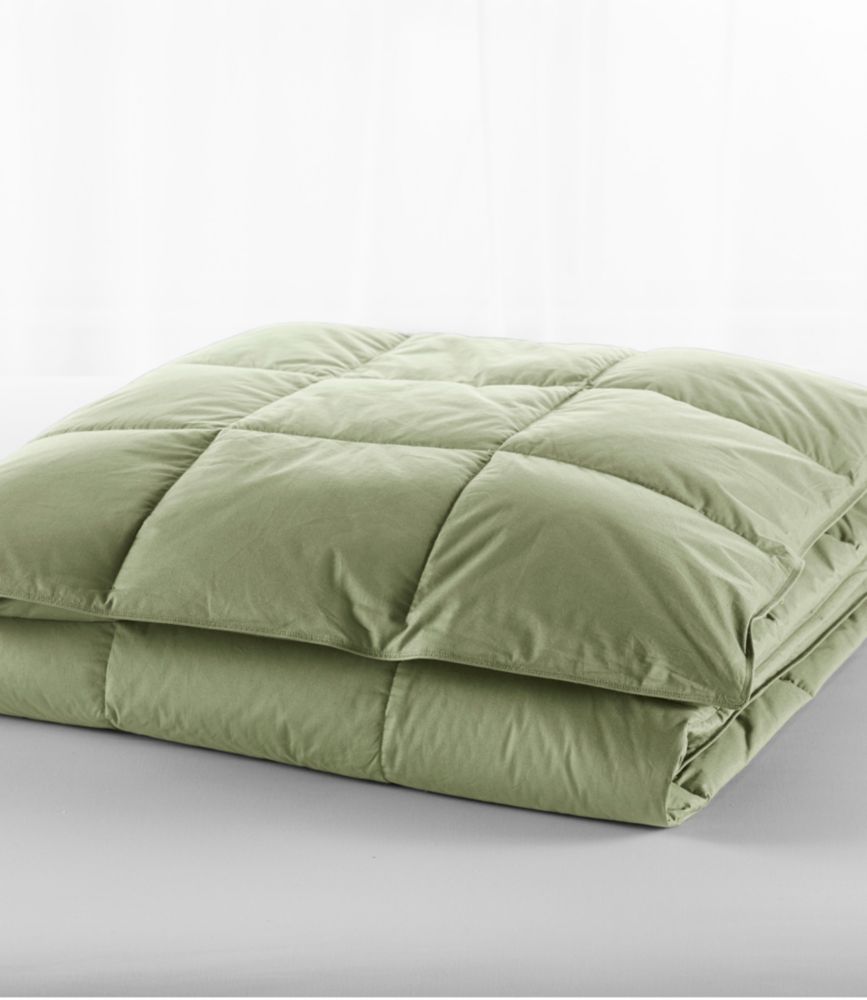 Classic Colors PrimaLoft Comforter at L.L.Bean