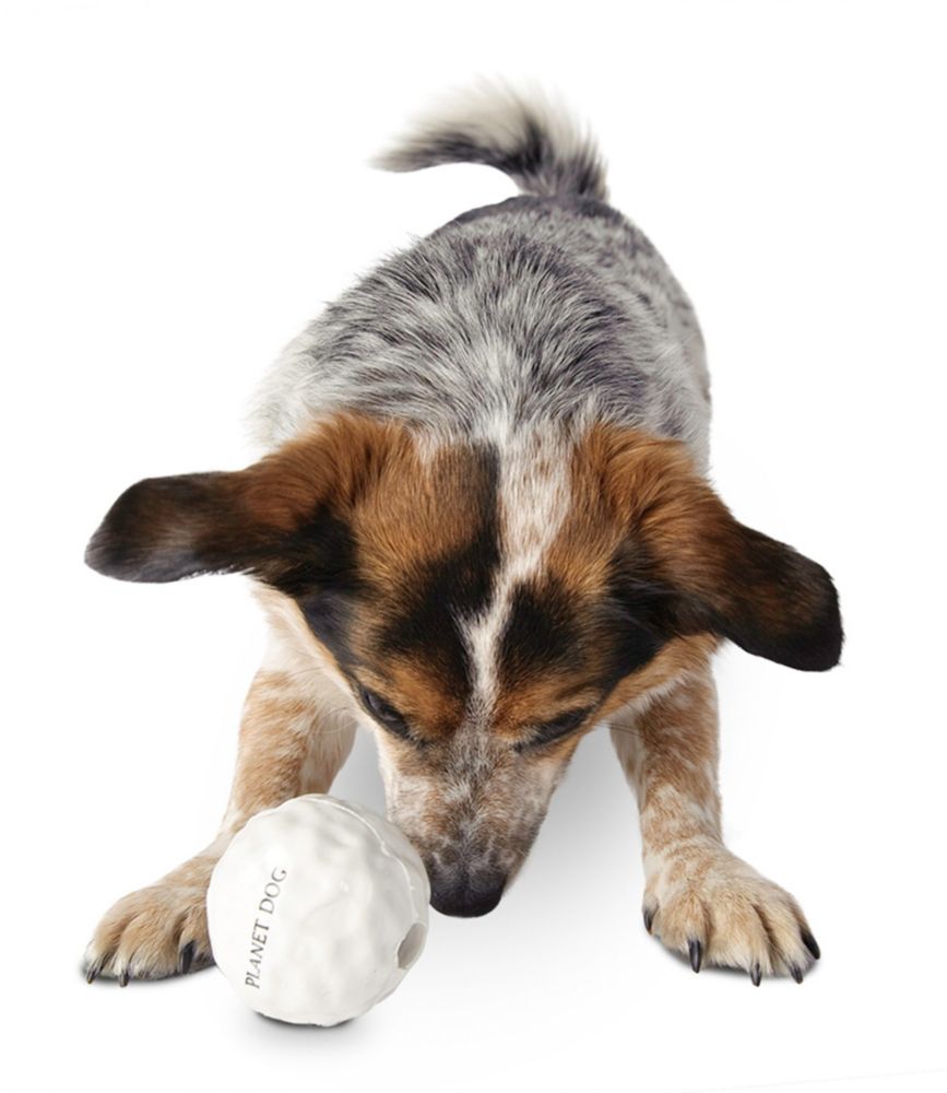 Orbee Tuff Snowball Dog Toy Dog Toys & Accessories at L.L.Bean