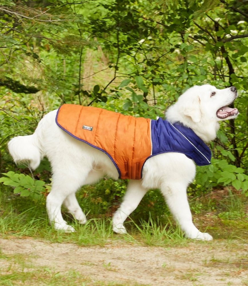 Mountain Classic Dog Parka, Colorblock Home Goods at L.L.Bean