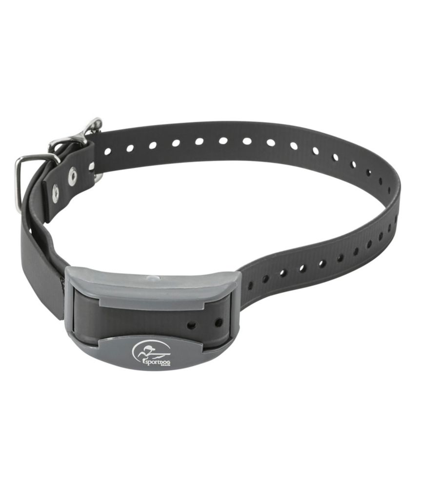 SportDOG Brand 425XS AddADog Collar Electronics at L.L.Bean