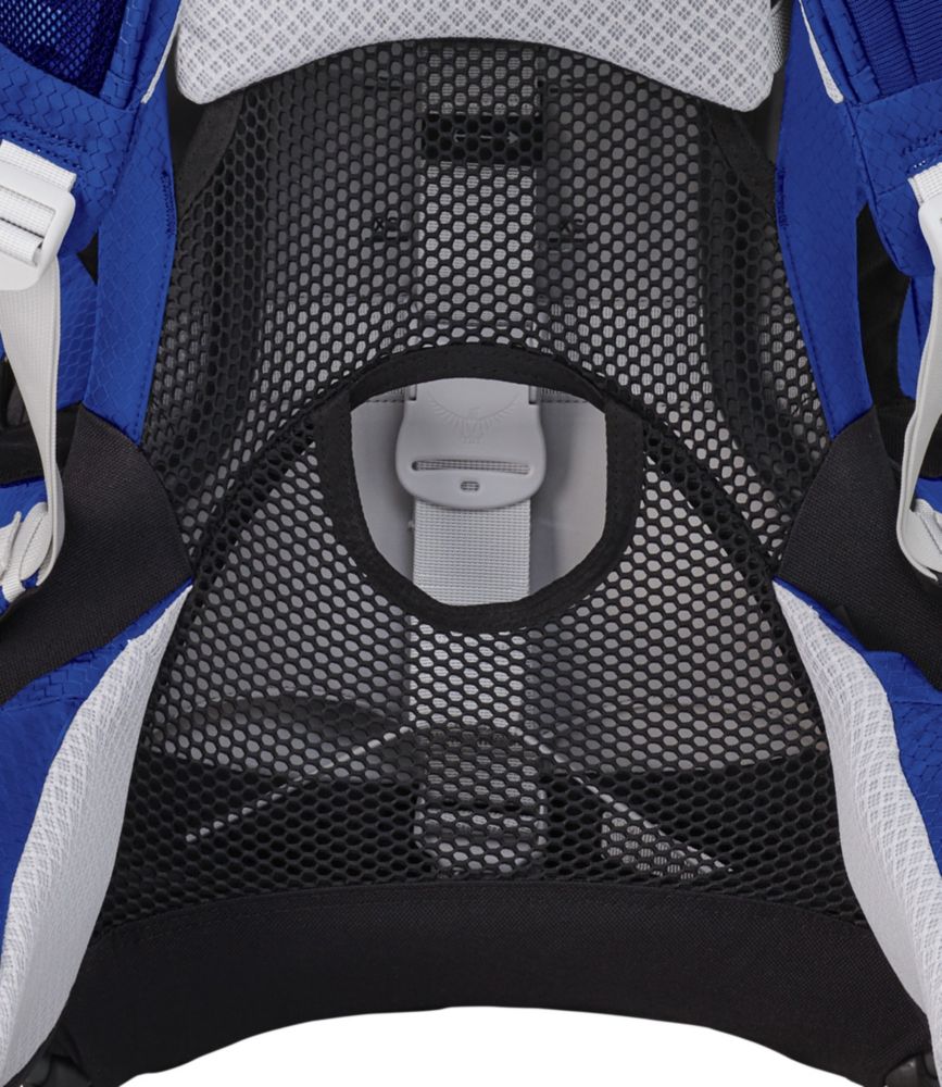 Osprey Poco Plus Child Carrier Pack Backpacks at L.L.Bean