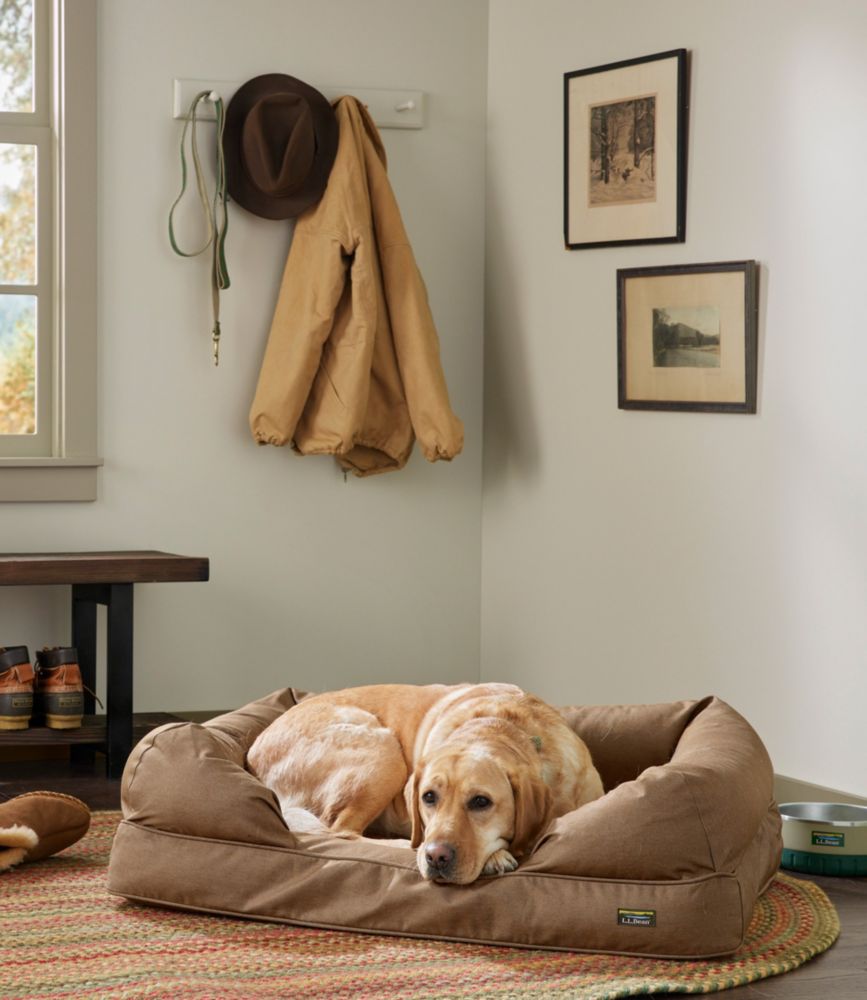Premium Therapeutic Dog Bed Couch Beds & Blankets at L.L.Bean